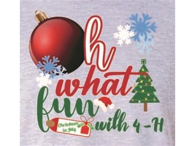 Fair Logo
